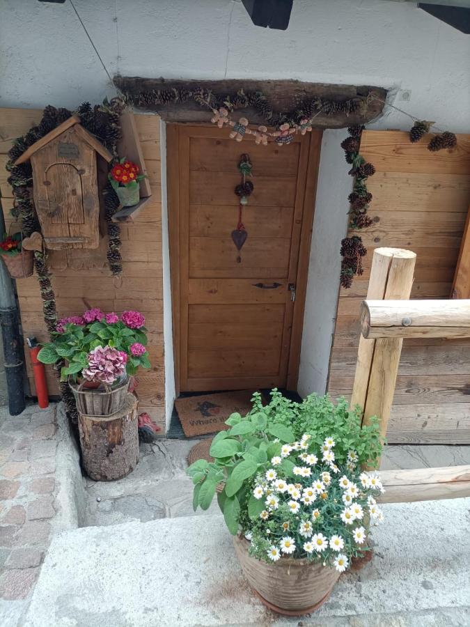 Maison Du Mont Aosta Zewnętrze zdjęcie